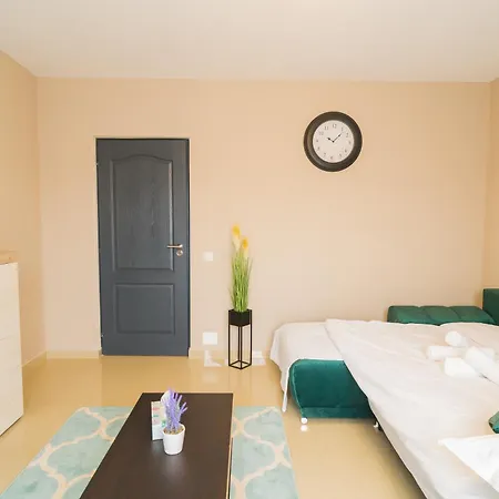 Bt Arena Cluj-Napoca